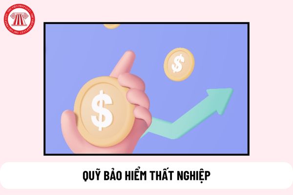 Tiền lãi chậm đóng BHTN có phải là nguồn thu hợp pháp của Quỹ bảo hiểm thất nghiệp không?