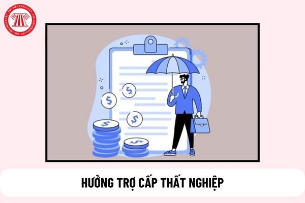 03 trường hợp được coi là không có nhu cầu hưởng trợ cấp thất nghiệp là gì?