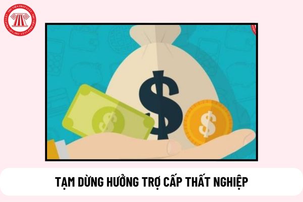 Quyết định về việc tạm dừng hưởng trợ cấp thất nghiệp có khi nào?