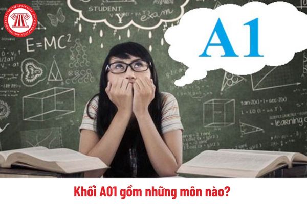 Khối A01 gồm những môn nào? Tổ hợp môn khối A01 gồm những ngành nào? 