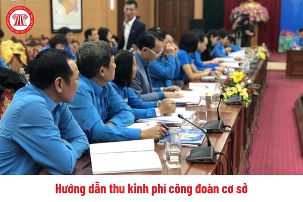 Hướng dẫn thu kinh phí công đoàn cơ sở năm 2025 như thế nào?