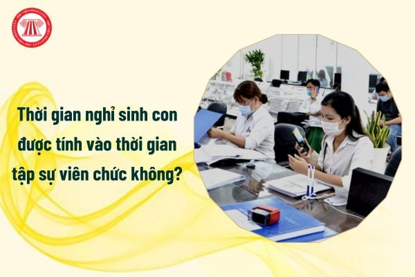 Thời gian nghỉ sinh con được tính vào thời gian tập sự viên chức không?