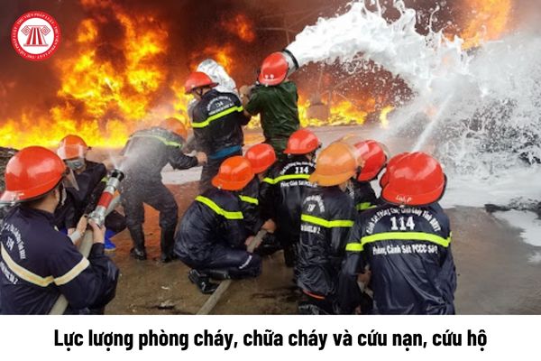 Lực lượng phòng cháy, chữa cháy và cứu nạn, cứu hộ