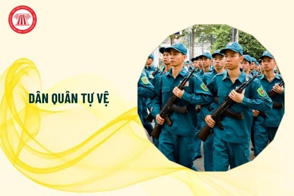 Dân quân tự vệ là lực lượng gì?