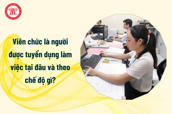 Viên chức là người được tuyển dụng làm việc tại đâu và theo chế độ gì?