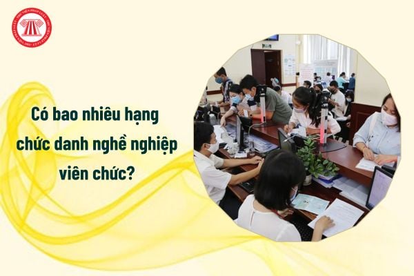 Có bao nhiêu hạng chức danh nghề nghiệp viên chức?