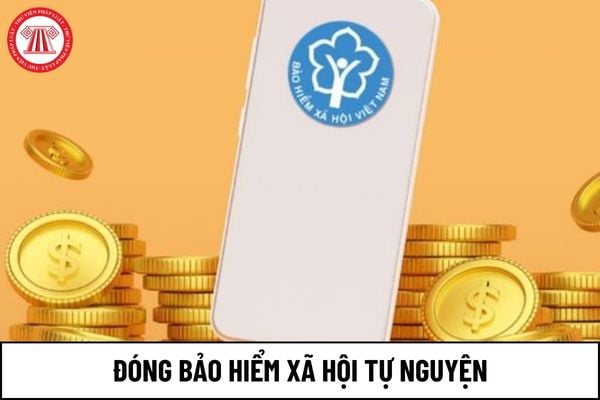 Người lao động đóng bảo hiểm xã hội tự nguyện từ 1/7/2025 theo phương thức nào?