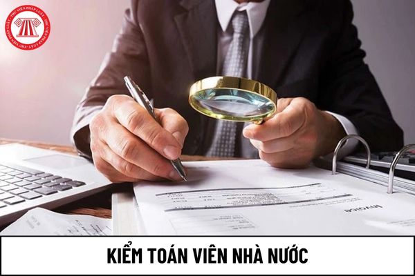 Ngạch Kiểm toán viên là gì? Các ngạch Kiểm toán viên nhà nước là những ngạch nào?