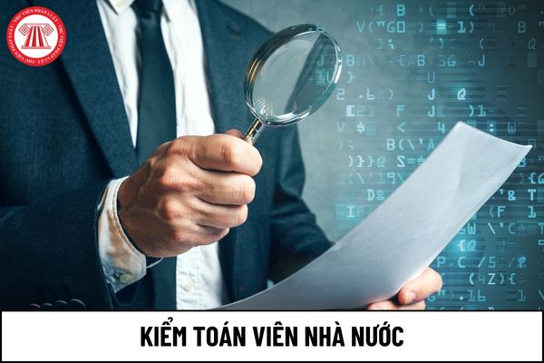 Kiểm toán viên nhà nước bắt buộc phải có bằng tốt nghiệp từ đại học trở lên đúng không?