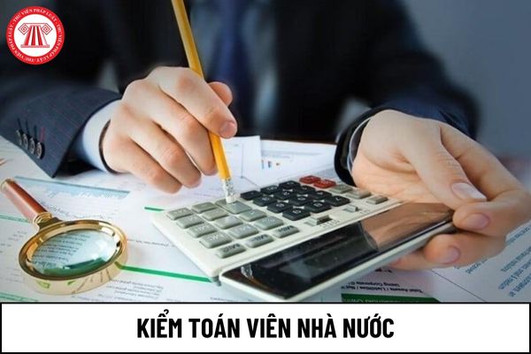 Kiểm toán viên nhà nước do ai có thẩm quyền bổ nhiệm?