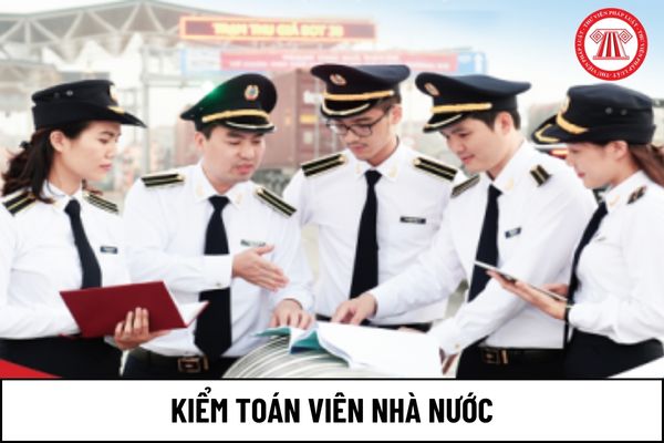 Kiểm toán viên nhà nước chỉ được sử dụng thẻ Kiểm toán viên khi nào?