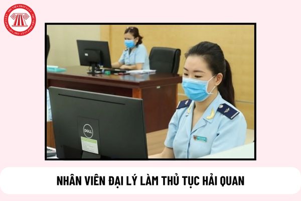 Cán bộ, công chức được cấp mã số nhân viên đại lý làm thủ tục hải quan không?