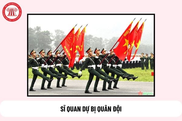 Cán bộ kiêm nhiệm công tác sĩ quan dự bị do ai phân công?