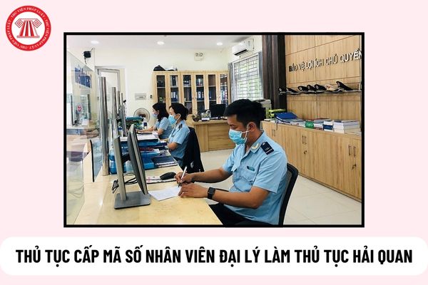 Thủ tục cấp mã số nhân viên đại lý làm thủ tục hải quan hiện nay như thế nào?