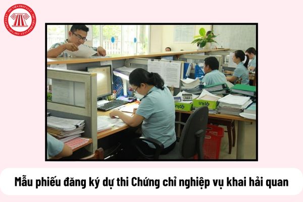 Mẫu phiếu đăng ký dự thi Chứng chỉ nghiệp vụ khai hải quan là mẫu nào?