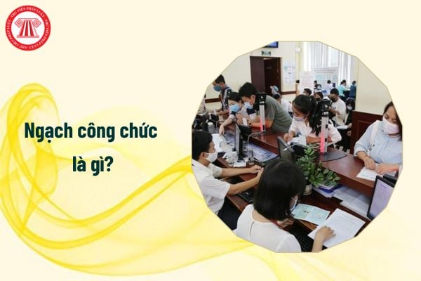 Ngạch công chức là gì? 13 ngạch công chức và chức danh bắt buộc phải kê khai tài sản thu nhập mỗi năm?