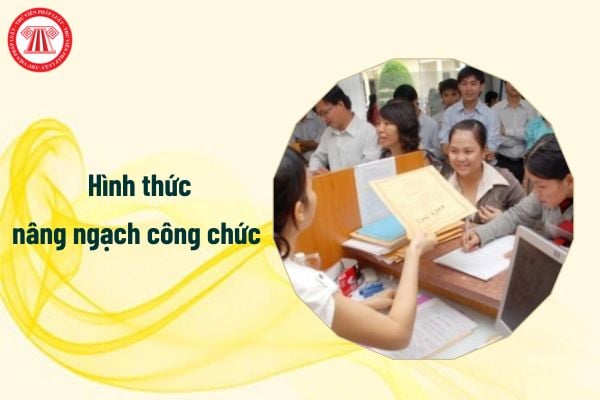 Có bao nhiêu hình thức nâng ngạch công chức?