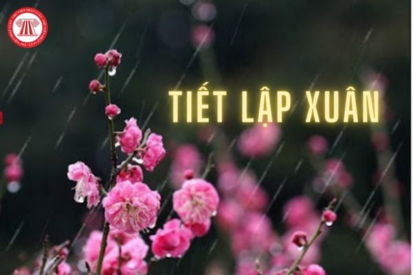 Tiết Lập xuân là gì? Lập xuân 2025 ngày bao nhiêu?