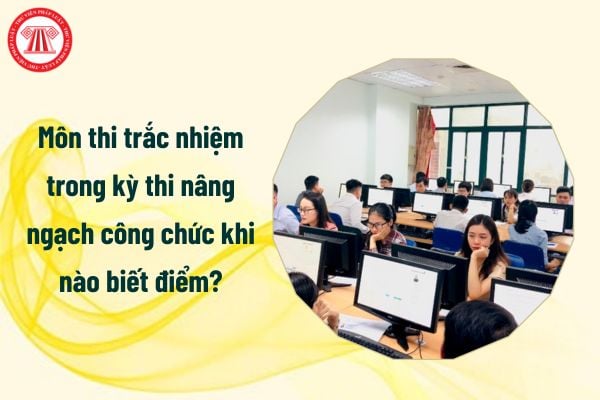 Môn thi trắc nhiệm trong kỳ thi nâng ngạch công chức khi nào biết điểm?