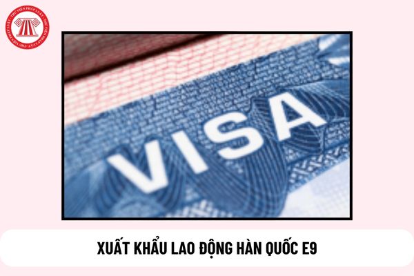 XUẤT KHẨU LAO ĐỘNG HÀN QUỐC E9