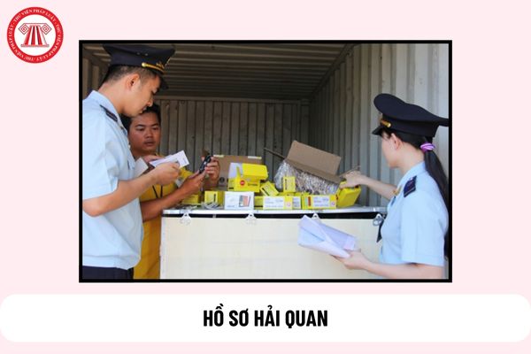 Hồ sơ hải quan gồm những gì? 