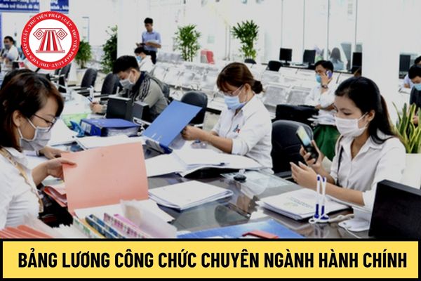 Từ tháng 7/2024 lương mới của công chức chuyên ngành hành chính áp dụng mức lương cơ sở 2,34 ra sao?