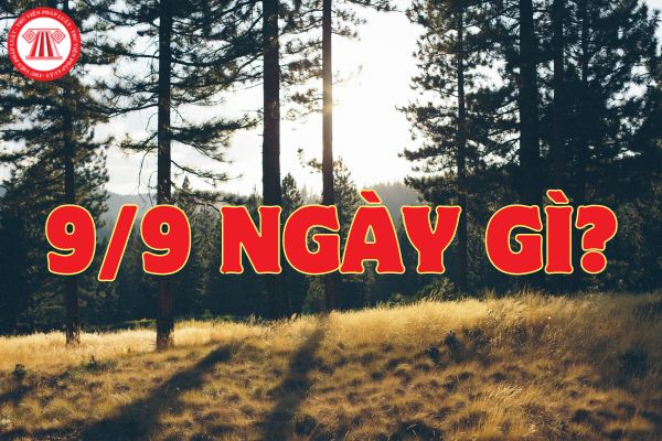 9 9 là ngày gì? Người lao động nghỉ việc riêng vào ngày 9 9 2024 vẫn hưởng nguyên lương đúng không?