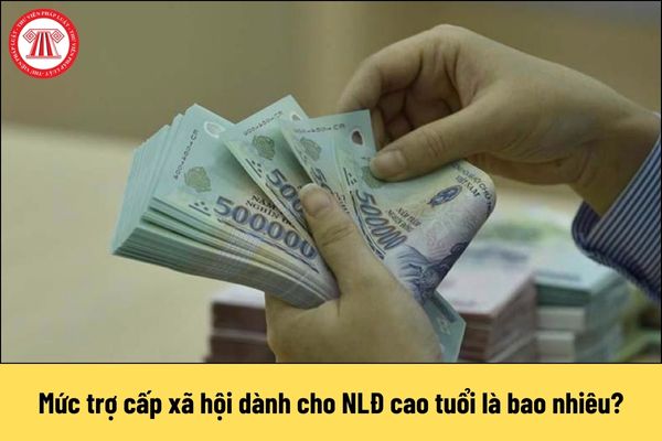 Mức trợ cấp xã hội dành cho người lao động cao tuổi là bao nhiêu?