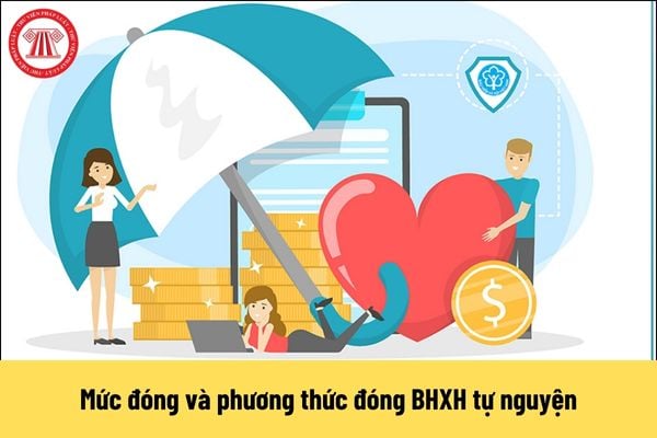 Mức đóng và phương thức đóng BHXH tự nguyện từ 1/7/2025 như thế nào?