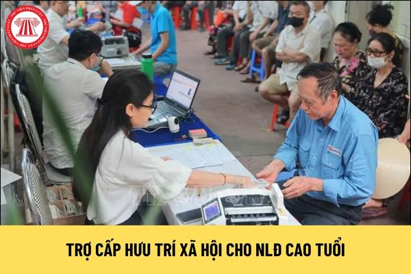 Trợ cấp hưu trí xã hội là chính sách của Nhà nước chỉ áp dụng cho NLĐ cao tuổi đúng không?