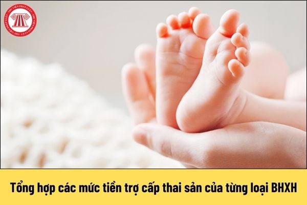 Tổng hợp các mức tiền trợ cấp thai sản của từng loại BHXH