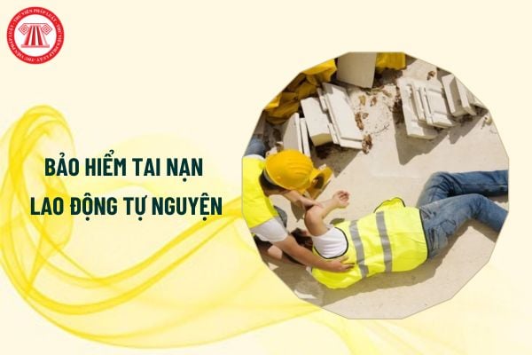 02 phương thức đóng bảo hiểm tai nạn lao động tự nguyện 2025 là gì?