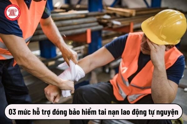 03 mức hỗ trợ đóng bảo hiểm tai nạn lao động tự nguyện từ 1/1/2025 là bao nhiêu?