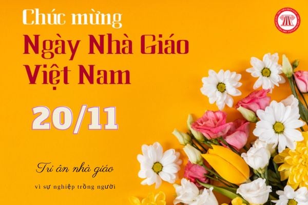 Thiệp chúc mừng 20 11 đơn giản viết thế nào?