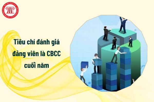 Tiêu chí đánh giá đảng viên là CBCC cuối năm 2024 bao gồm những gì?