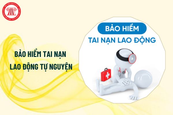 Từ 1/1/2025 ai được tham gia bảo hiểm tai nạn lao động tự nguyện?