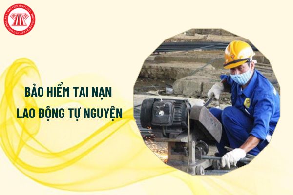 02 chế độ mới về bảo hiểm tai nạn lao động tự nguyện từ 1/1/2025 là gì?