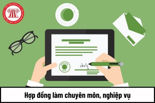 Thời gian thử việc trong hợp đồng làm chuyên môn, nghiệp vụ tại đơn vị sự nghiệp công lập có được căn cứ để xếp lương không?