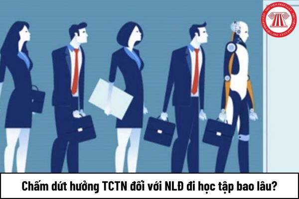 Chấm dứt hưởng trợ cấp thất nghiệp đối với người lao động đi học tập bao lâu?