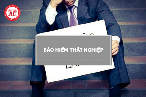 Yếu tố nào ảnh hưởng đến tiền hưởng bảo hiểm thất nghiệp?