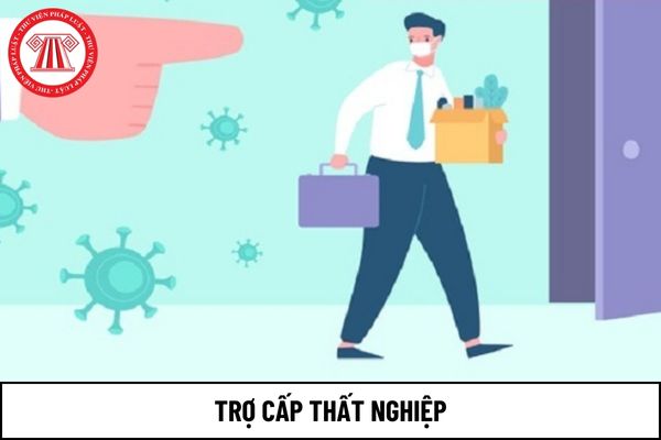 Đóng bảo hiểm thất nghiệp từ 12 tháng trở lên thì được hưởng bao nhiêu tháng trợ cấp thất nghiệp?