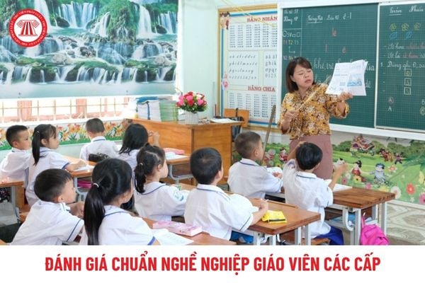 TEMIS đánh giá chuẩn nghề nghiệp giáo viên