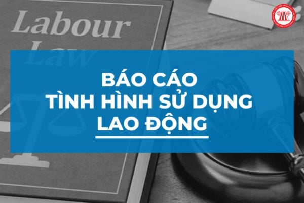 Mẫu Báo cáo tình hình sử dụng lao động 06 tháng cuối năm 2024 là mẫu nào? Căn cứ theo Phụ lục 1 ban hành kèm theo Nghị định 145/2020/NĐ-CP, mẫu Báo cáo tình hình sử dụng lao động 06 tháng cuối năm 2024 của doanh nghiệp, cơ quan, tổ chức là Mẫu số 01/PLI. Mẫu có dạng như sau:  >> Mẫu báo cáo tình hình sử dụng lao động 06 tháng cuối năm 2024: TẢI VỀ