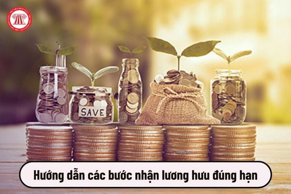 Nhận lương hưu đúng hạn: Hướng dẫn các bước thực hiện?