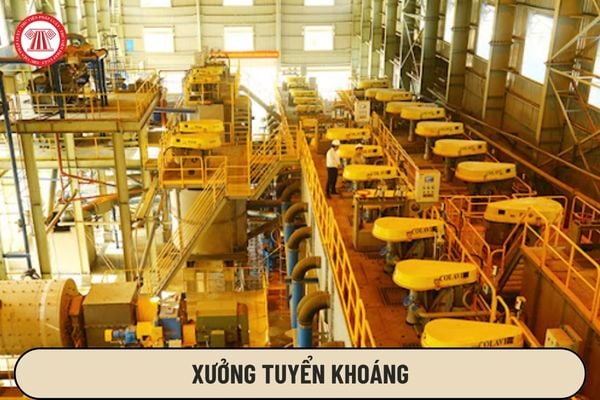 Xưởng tuyển khoáng phải đảm bảo nơi làm việc như thế nào?