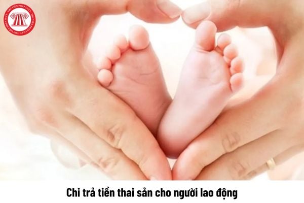 Hình thức chi trả tiền thai sản cho người lao động hiện nay là những hình thức nào?