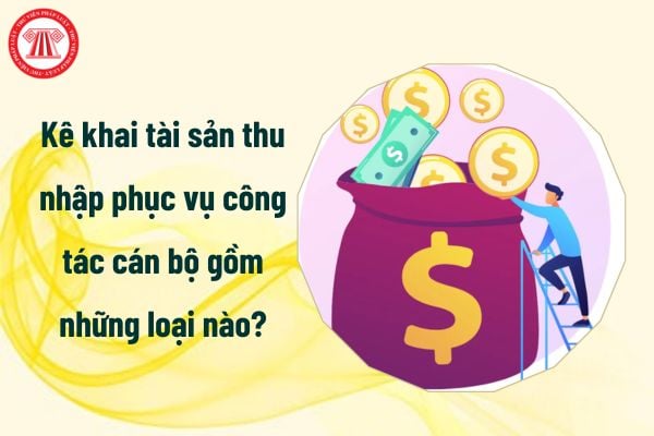 Kê khai tài sản thu nhập phục vụ công tác cán bộ