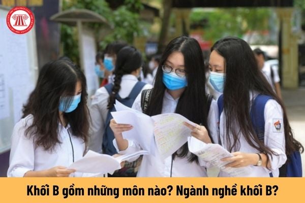 Khối B gồm những môn nào? Học khối B phù hợp với nghề nghiệp gì? Ngành nghề khối B lương cao không?