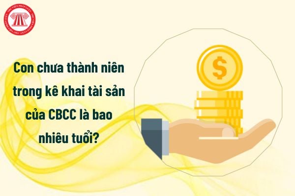 Con chưa thành niên trong kê khai tài sản