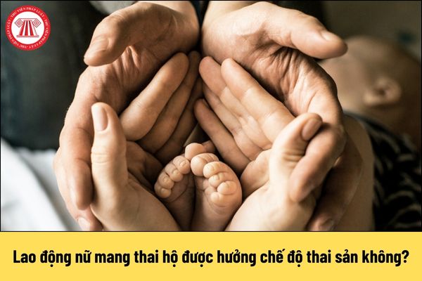 Từ 1/7/2025 lao động nữ mang thai hộ được hưởng chế độ thai sản không?